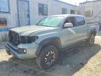 TOYOTA TACOMA 2023
