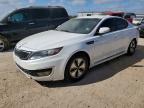KIA OPTIMA HYBRID 2013