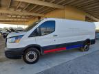 FORD TRANSIT 2024