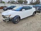 SCION TC 2011