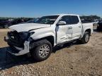 TOYOTA TACOMA 2025