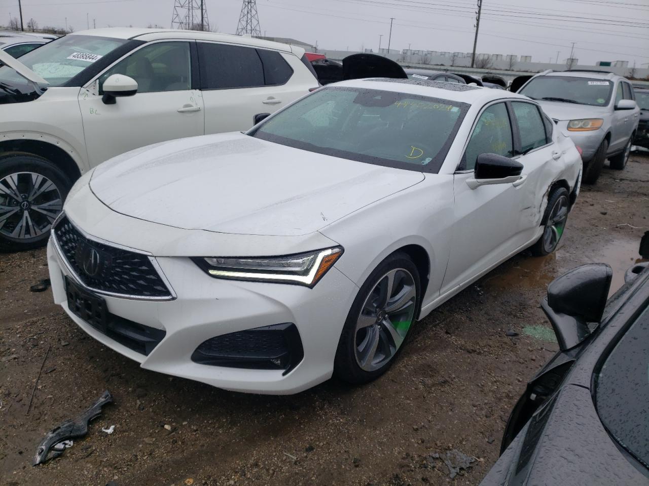 Acura Tlx 2023