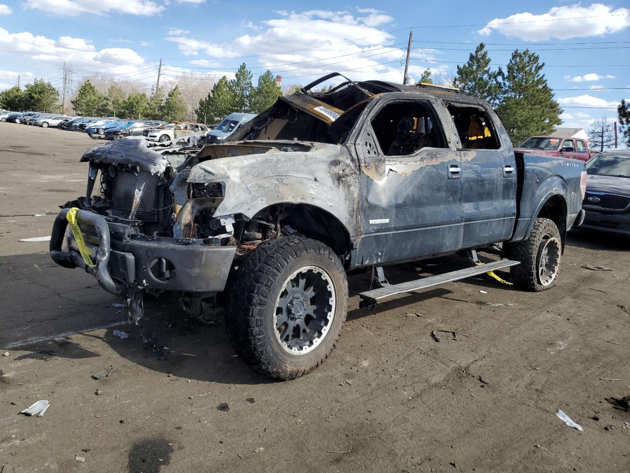 FORD F-150 2013