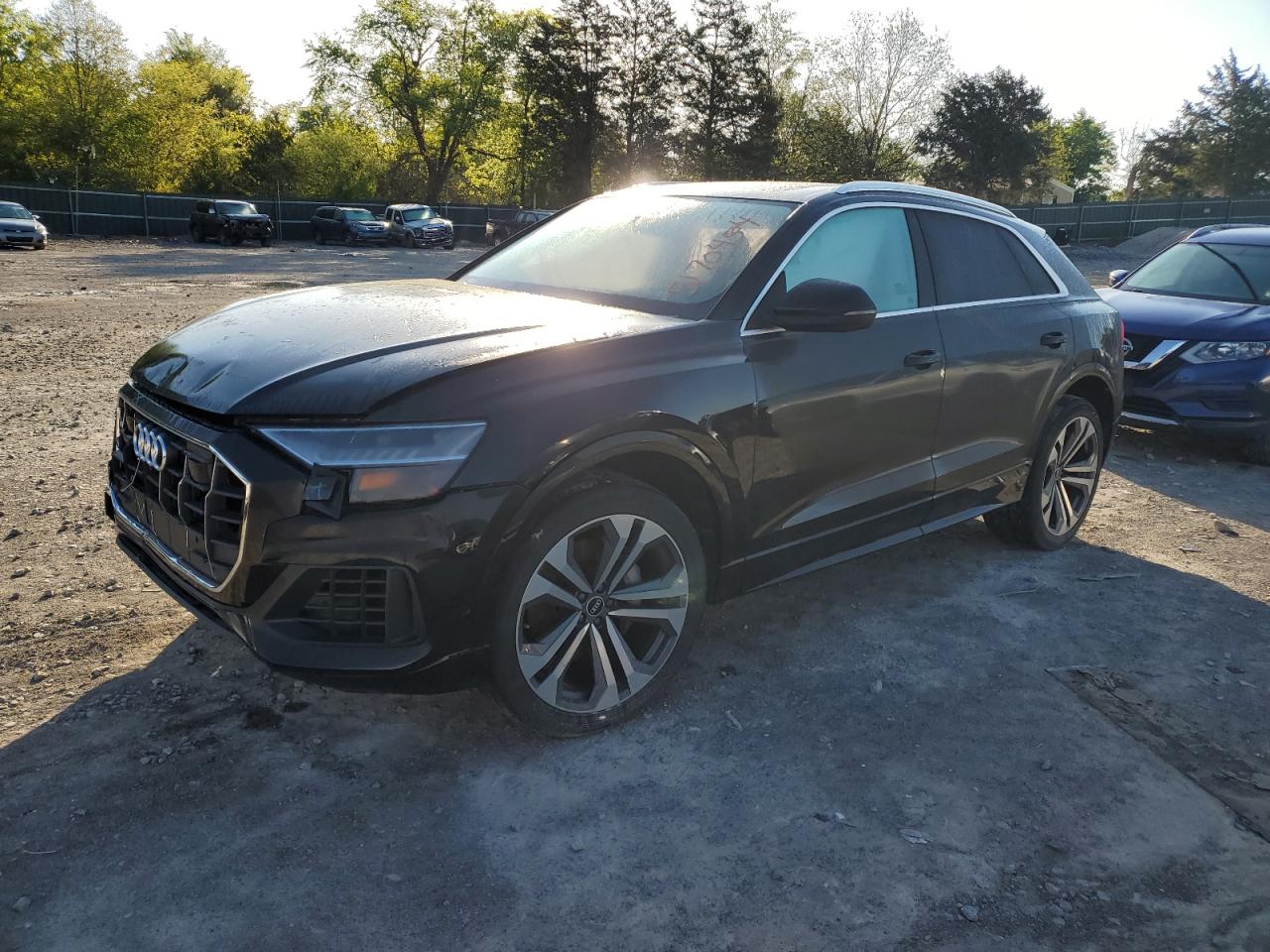 Audi Q8 2021