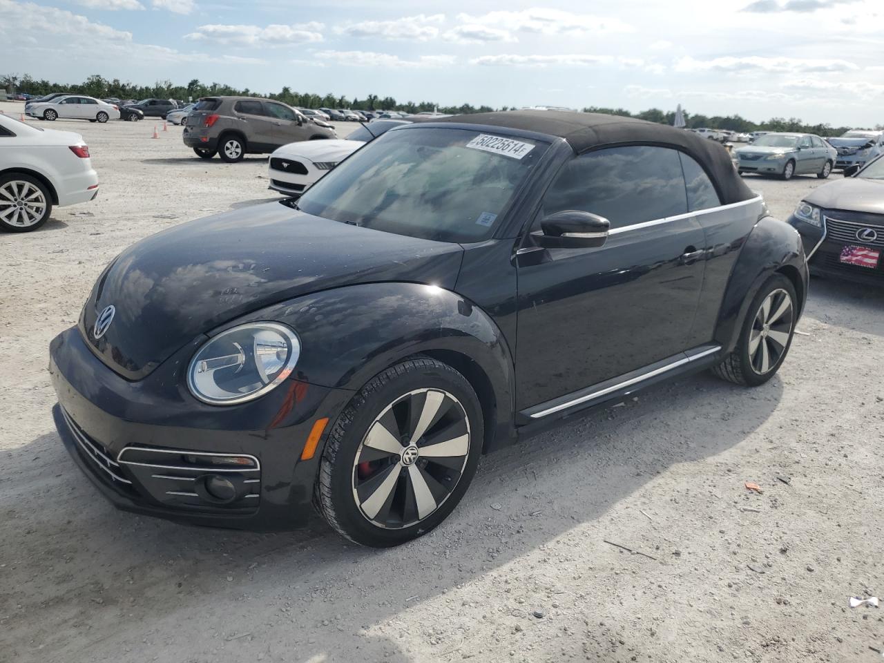 Volkswagen Beetle 2013