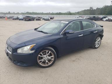 Nissan Maxima 2014