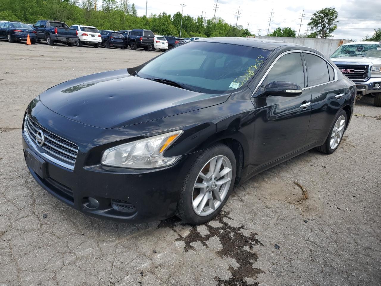 NISSAN MAXIMA 2011
