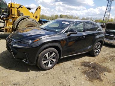 Lexus Nx 2019