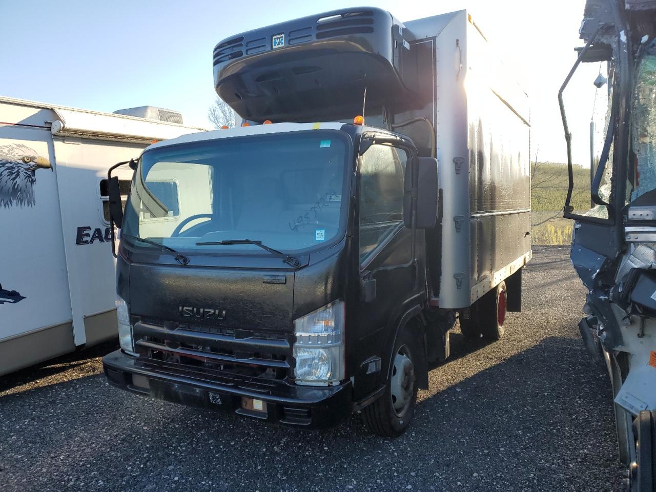 Isuzu Nqr 2011