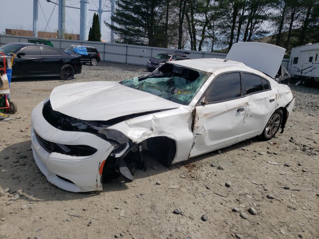 DODGE CHARGER 2019