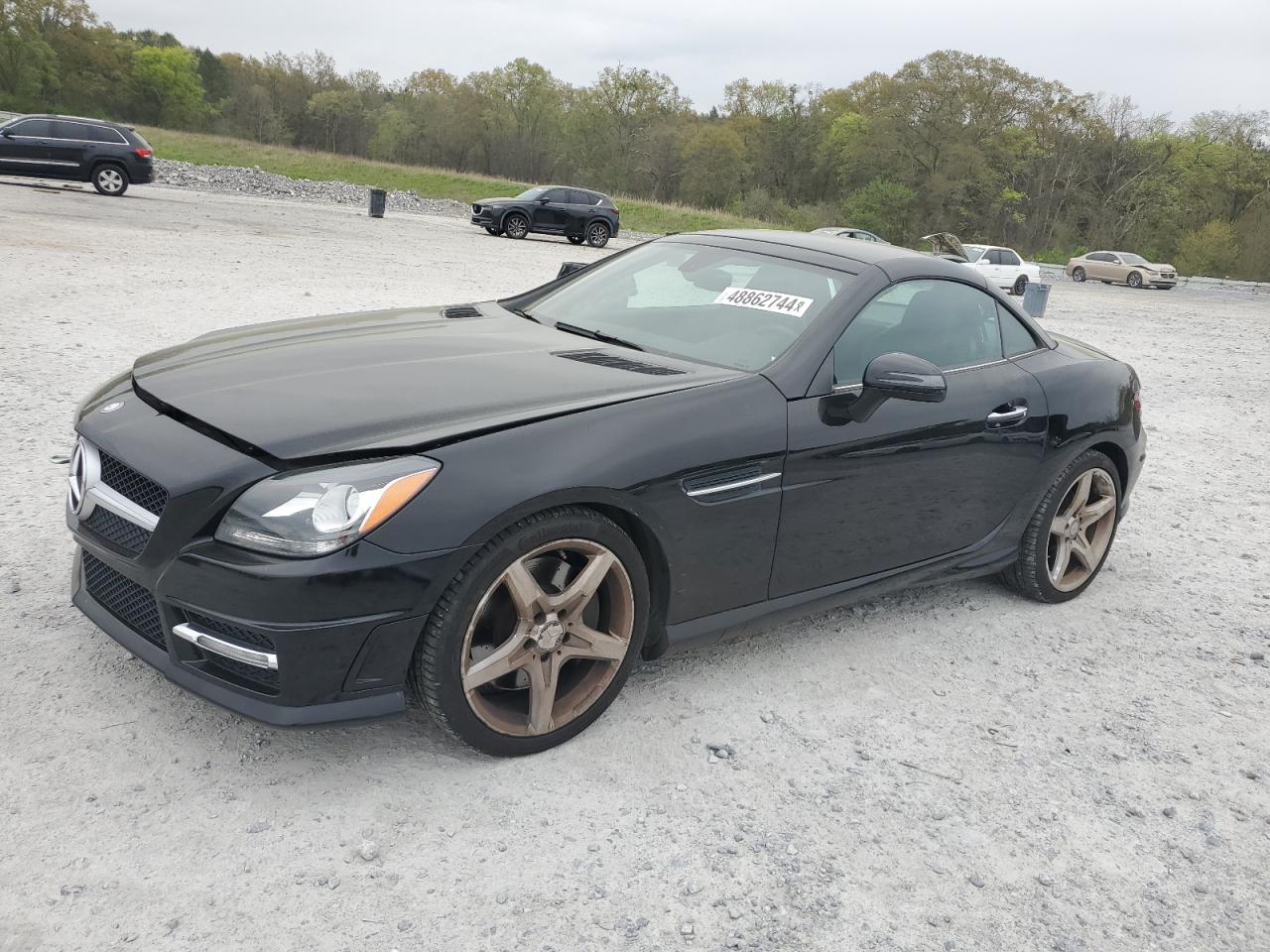 Mercedes-benz Slk-class 2013