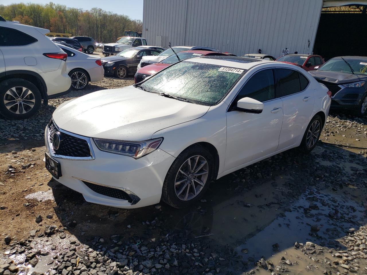 ACURA TLX 2019