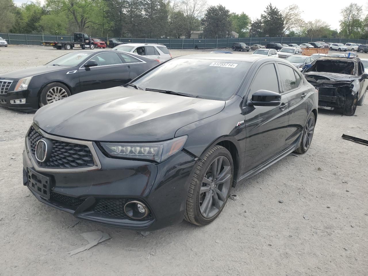 Acura Tlx 2020