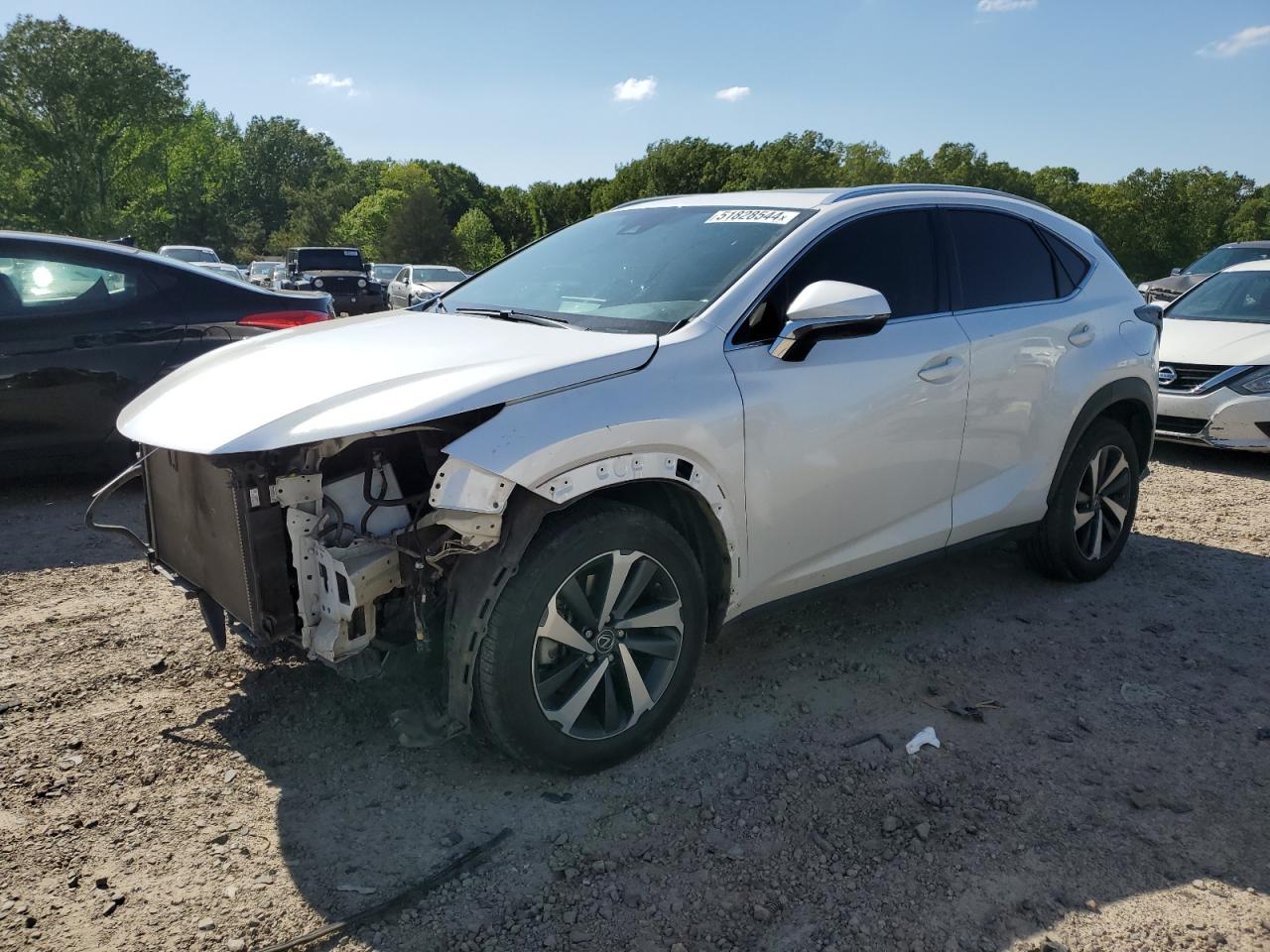 LEXUS NX 2021