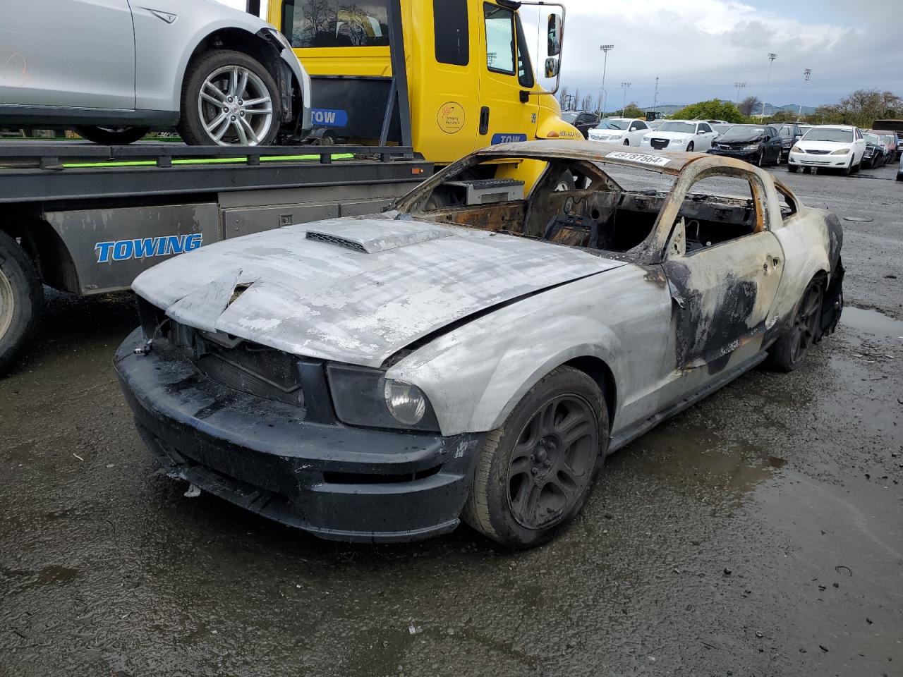 FORD MUSTANG GT 2007