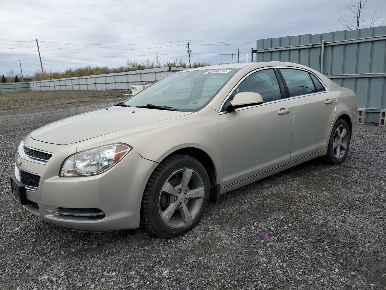 CHEVROLET MALIBU 2009