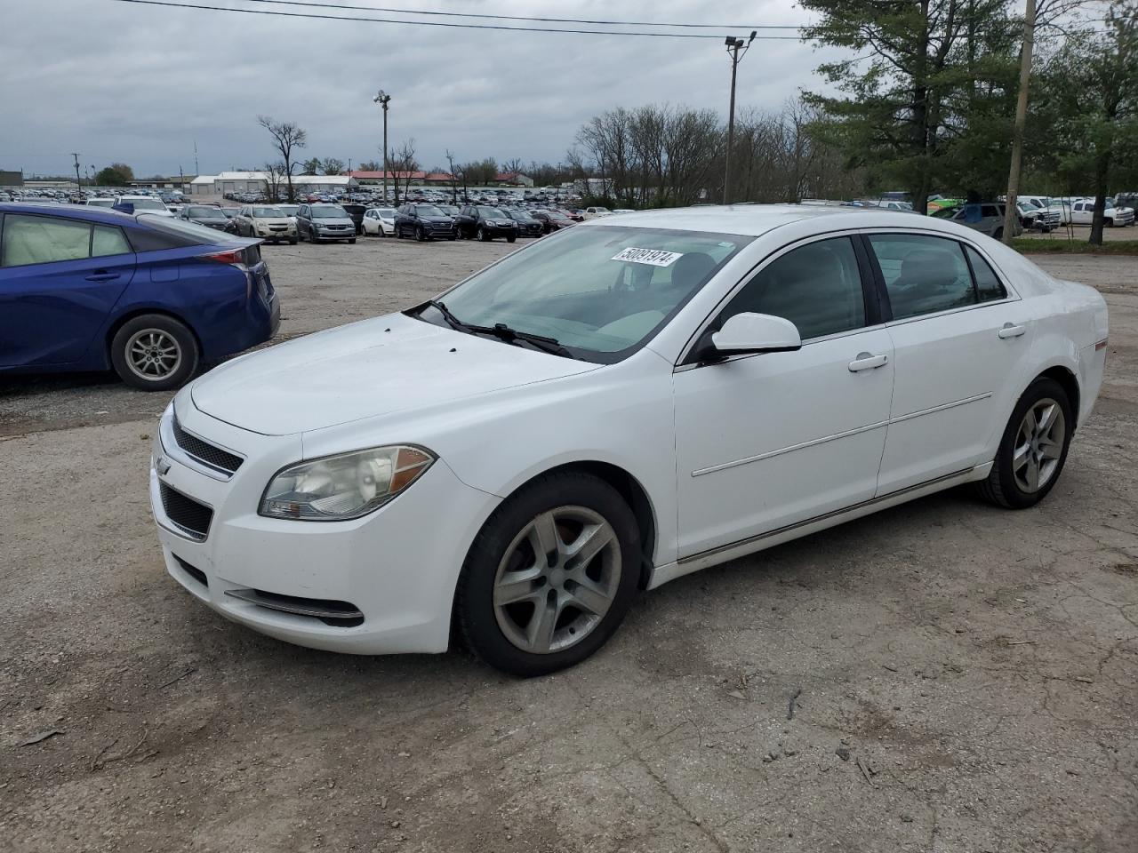 Chevrolet Malibu 2010