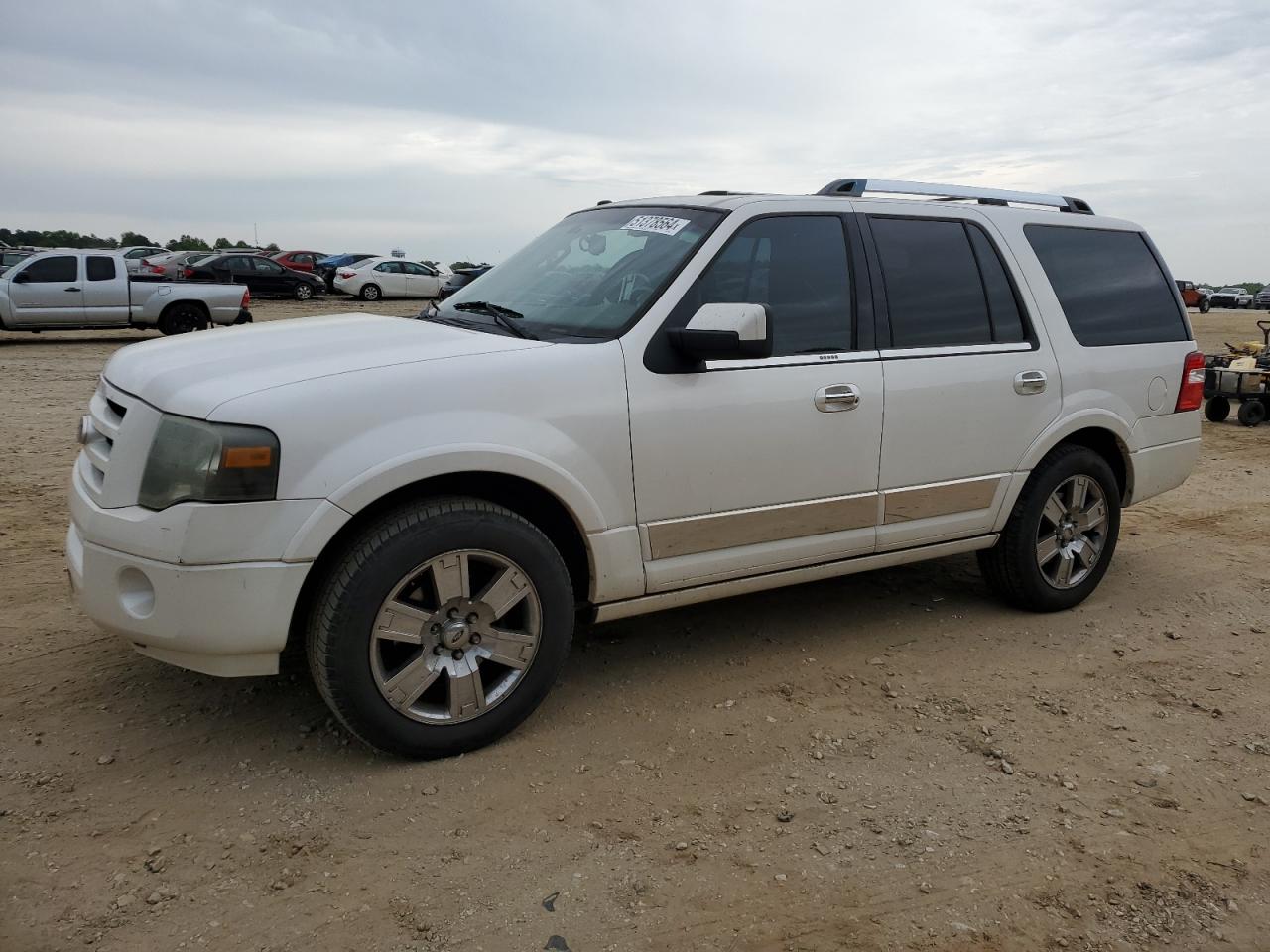Ford Expedition 2010