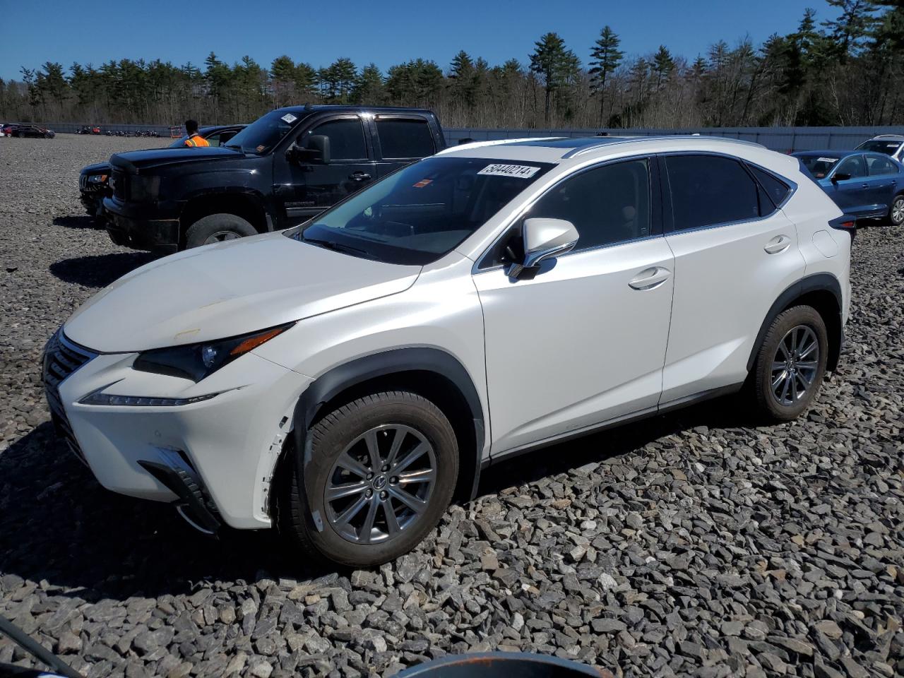 LEXUS NX 2019