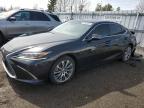 Lexus Es 350 2021