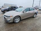 CHEVROLET MALIBU 2024
