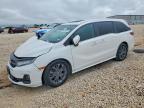 HONDA ODYSSEY 2025