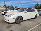 LEXUS ES 2005