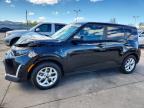 KIA SOUL 2025