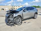LEXUS NX 2023