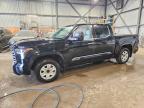 TOYOTA TUNDRA 2023