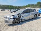 TOYOTA CAMRY 2024