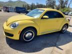 VOLKSWAGEN BEETLE 2013
