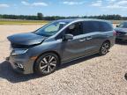 HONDA ODYSSEY 2020