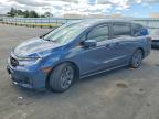 HONDA ODYSSEY 2026