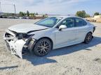 TOYOTA CAMRY 2023