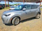 KIA SOUL 2025