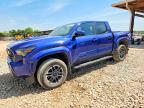 TOYOTA TACOMA 2024