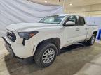 TOYOTA TACOMA 2024