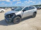 TOYOTA RAV4 2025