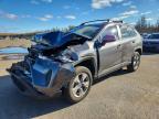 TOYOTA RAV4 HYBRID 2024