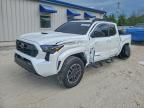 TOYOTA TACOMA 2024