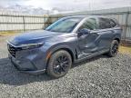 HONDA CR-V 2024