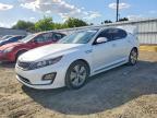 KIA OPTIMA 2016