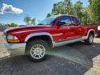 DODGE DAKOTA 2004