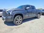 TOYOTA TUNDRA 2024