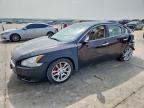NISSAN MAXIMA 2010