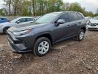 TOYOTA RAV4 2024