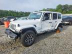 JEEP WRANGLER 2024