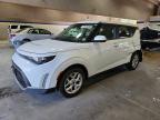 KIA SOUL 2024