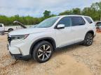 HONDA PILOT 2024